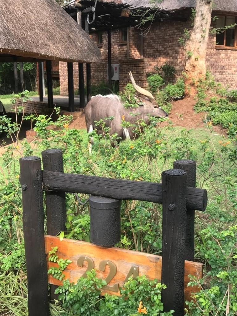 Kruger Park Lodge, Kubu Lodge 224 Hazyview Kültér fotó